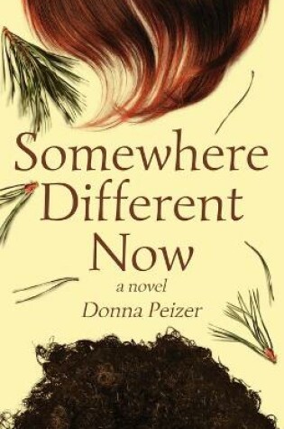 Cover of Somewhere Different Now