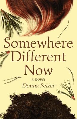 Book cover for Somewhere Different Now