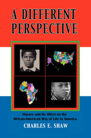 Cover of A Different Perspective