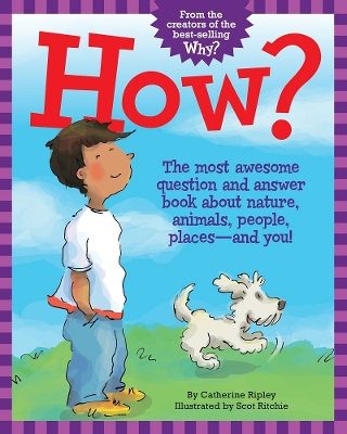 Book cover for How?