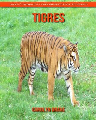 Book cover for Tigres