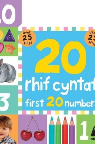 Cover of 20 Rhif Cyntaf / First 20 Numbers