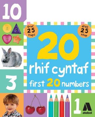 Book cover for 20 Rhif Cyntaf / First 20 Numbers