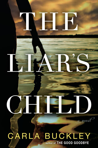 Cover of The Liar's Child