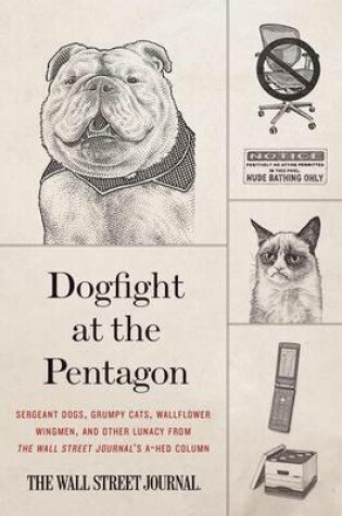 Cover of Dogfight at the Pentagon