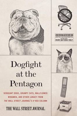 Book cover for Dogfight at the Pentagon