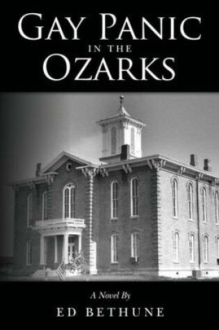 Cover of Gay Panic in the Ozarks