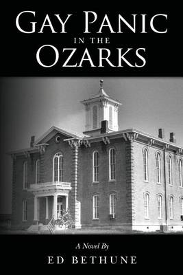 Book cover for Gay Panic in the Ozarks