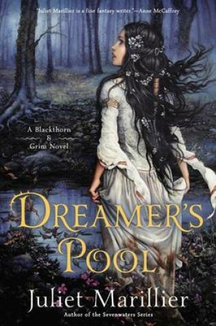 Cover of Dreamer's Pool