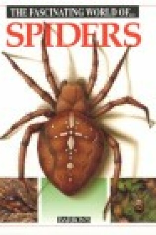 Cover of The Fascinating World of- Spiders