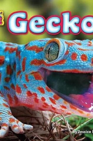 Cover of Gecko