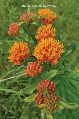 Cover of Orange Butterfly Milkweed