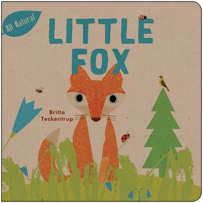 Book cover for Little Fox