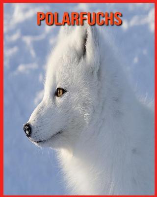 Book cover for Polarfuchs