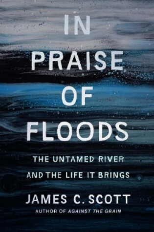 Cover of In Praise of Floods