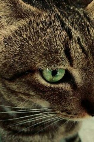 Cover of Tabby Cat with Green Eyes in Profile Pet Journal