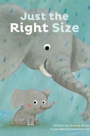 Cover of Just the Right Size