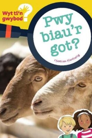 Cover of Cyfres Wyt Ti'n Gwybod?: Pwy Biau'r Got?