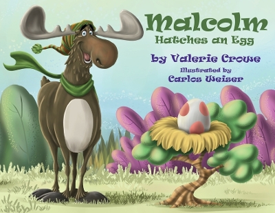 Book cover for Malcolm Hatches An Egg