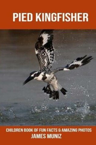 Cover of Pied Kingfisher