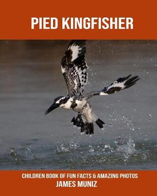 Book cover for Pied Kingfisher