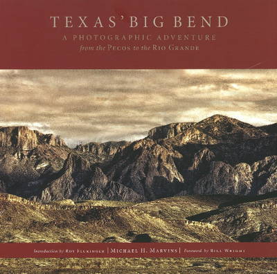Book cover for Texas' Big Bend