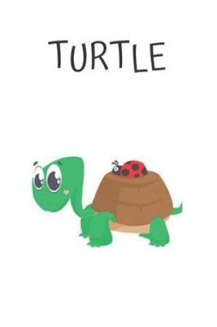 Cover of Turtle