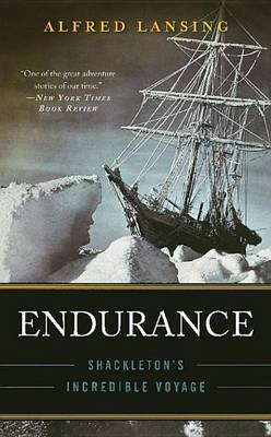 Book cover for Endurance