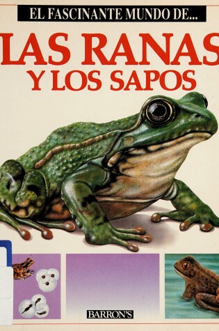 Cover of El Fascinante Mundo: Las Ranas y Los Sapos; (The Fascinating World of Frogs and Toads)