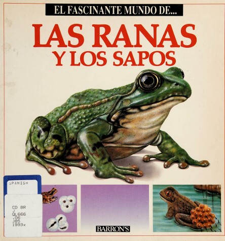 Book cover for El Fascinante Mundo: Las Ranas y Los Sapos; (The Fascinating World of Frogs and Toads)