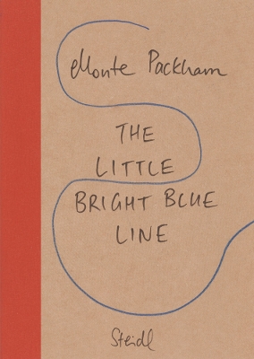 Book cover for The Little Bright Blue Line