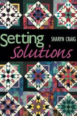 Cover of Setting Solutions