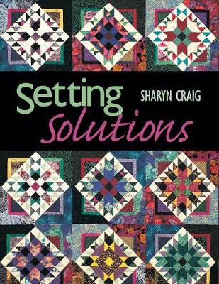 Book cover for Setting Solutions