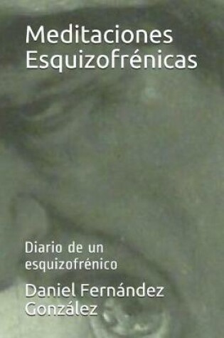 Cover of Meditaciones Esquizofrenicas