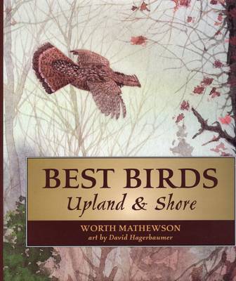 Book cover for Best Birds Upland and Shore