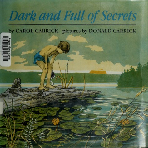 Book cover for Dark and Full of Secrets