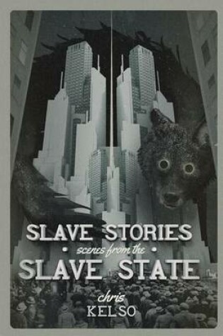 Cover of Slave Stories