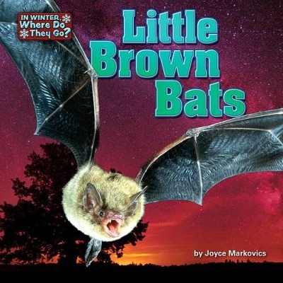Book cover for Little Brown Bats