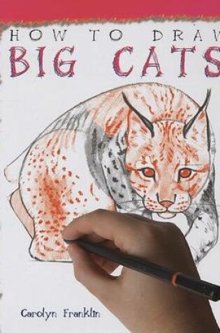 Cover of How to Draw Big Cats