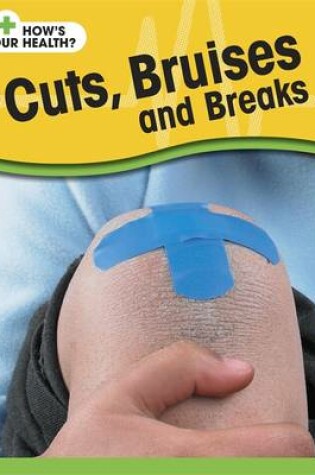 Cover of Cuts, Bruises and Breaks