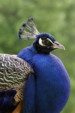 Cover of Proud Peacock Portrait Up Close Bird Journal