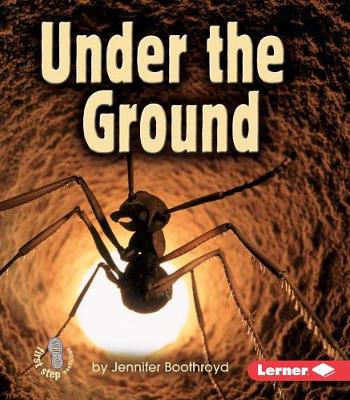 Cover of Under The Ground