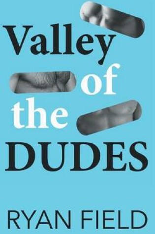 Cover of Valley of the Dudes