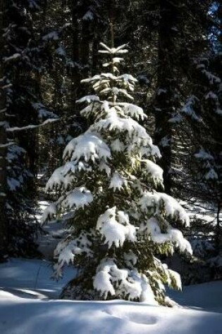 Cover of A Little Tree in the Winter Snow and Sunshine Journal