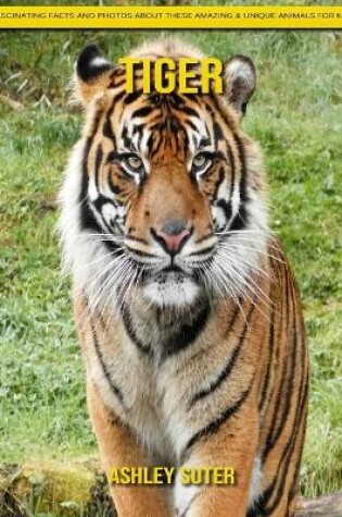 Cover of Tiger