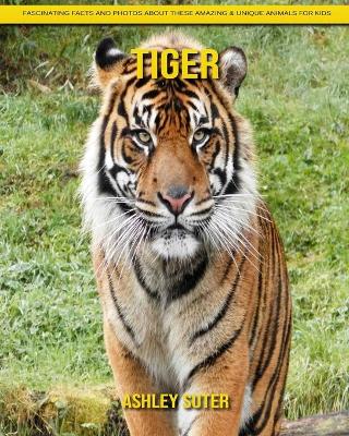 Book cover for Tiger