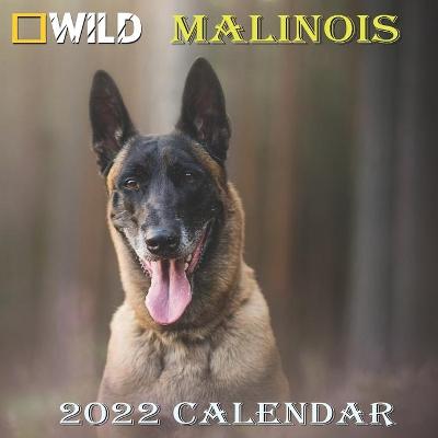 Book cover for Malinois Calendar 2022