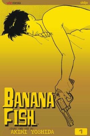 Cover of Banana Fish, Vol. 1