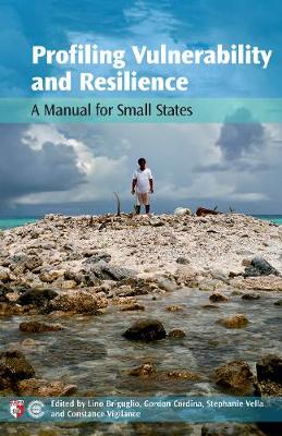 Book cover for Profiling Vulnerability and Resilience