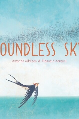 Cover of Boundless Sky